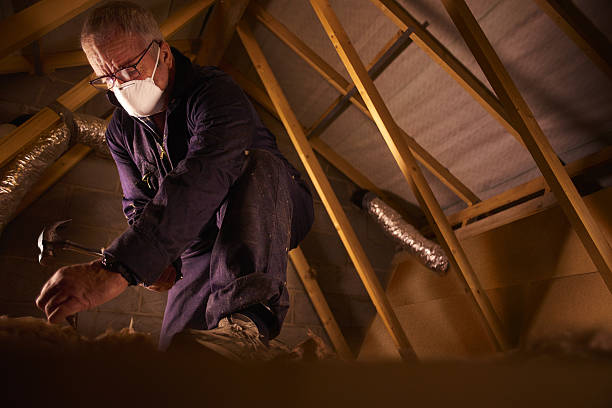 Best Crawl Space Insulation  in Scottsdale, AZ